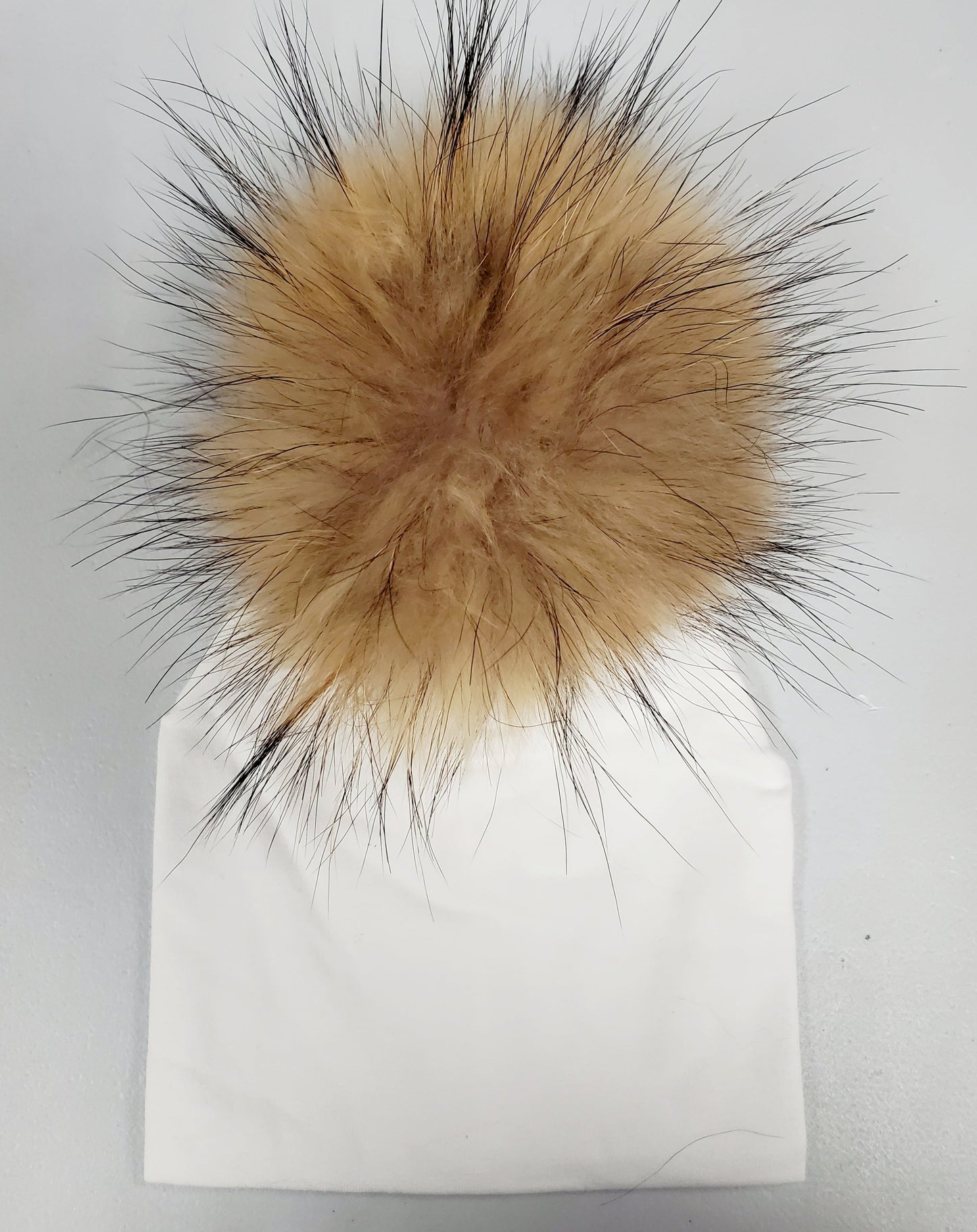 https://cdn.shopify.com/s/files/1/0017/9850/4499/products/20211210_095907.jpg?v=1639162255