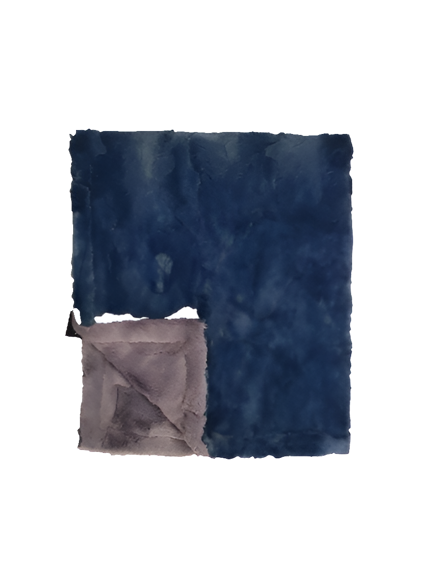 https://cdn.shopify.com/s/files/1/0017/9850/4499/files/background-editor_output_e24b418c-2a6d-4e79-9881-86554761e992.png?v=1720704856