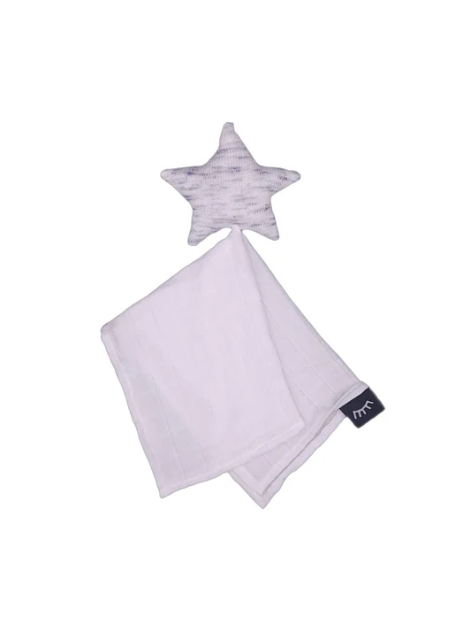 Star Minky Lovey - personalization included